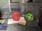 Glazen hamsterkooi met 2 hamsterradjes, Dieren en Toebehoren, Ophalen