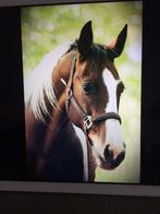 Te huur gevraagd, Ruin