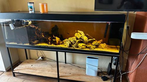 Asuarium 2m sur 50cm équipé, Dieren en Toebehoren, Vissen | Aquaria en Toebehoren, Gebruikt, Leeg aquarium, Ophalen