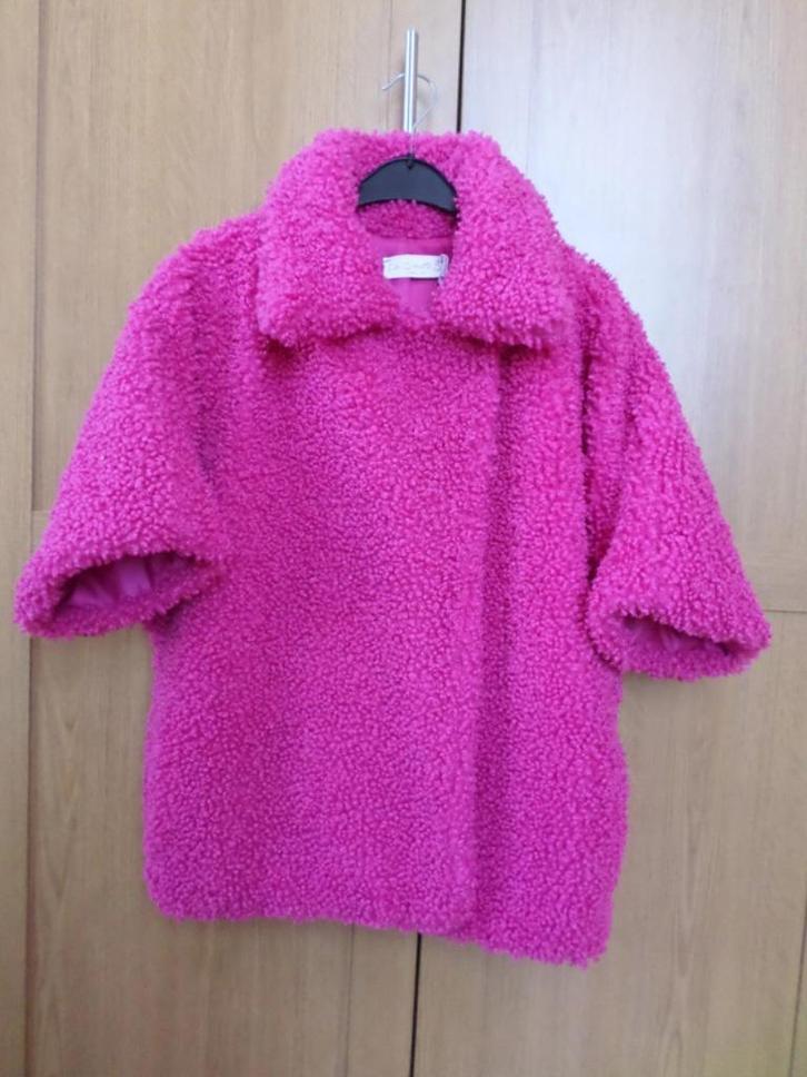 Jas jas teddybeer teddybeer knalroze fuchsia, Kleding | Dames, Jassen | Winter, Nieuw, Maat 42/44 (L), Roze, Ophalen of Verzenden