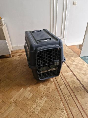 caisse de transport animal aux normes IATA beschikbaar voor biedingen