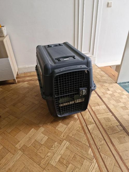 caisse de transport animal aux normes IATA, Dieren en Toebehoren, Transportboxen, Nieuw, Ophalen