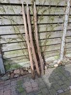 3 kastanje houten tuinpalen, Tuin en Terras, Palen, Balken en Planken, Nieuw, Ophalen of Verzenden, Palen, 180 tot 250 cm