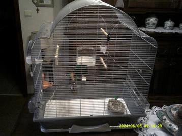 cage oiseaux excellent état avec access.(tjrs chez Tom&Co)