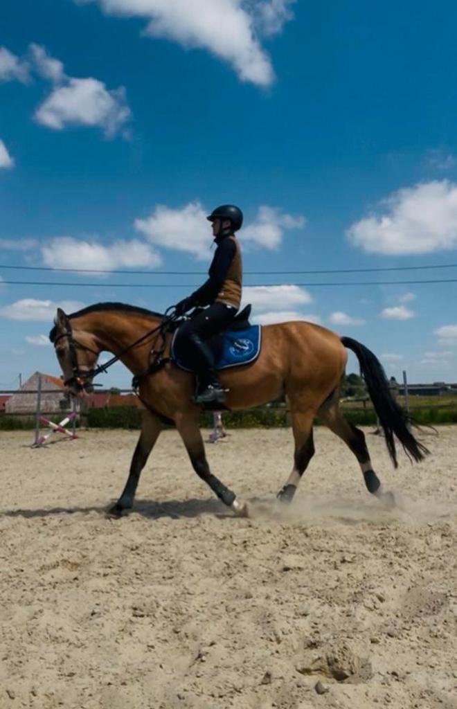 ERVAREN bijrijder gezocht (18+), Dieren en Toebehoren, Paarden en Pony's | Overige Paardenspullen, Recreatie, Ophalen