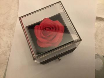 Luxe geschenkdoos met roos voor juweel in te schenken beschikbaar voor biedingen