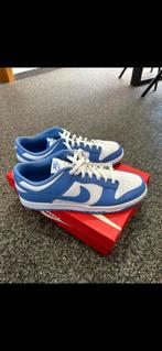 Dunks Nike, Neuf, Autres couleurs, Enlèvement, Baskets