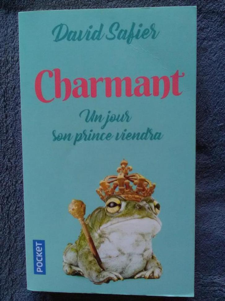 „Charmant, op een dag zal haar prins komen” David Safier (20, Boeken, Fantasy, Nieuw, Ophalen of Verzenden