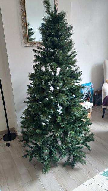 Iemand op zoek naar een kerstboom?