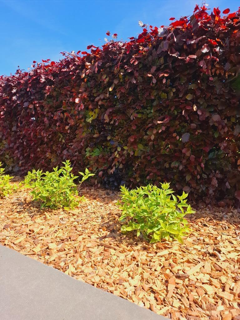 Houtsnippers, goedkope levering big bags 35km rond Dessel!, Tuin en Terras, Ophalen of Verzenden, Boomschors