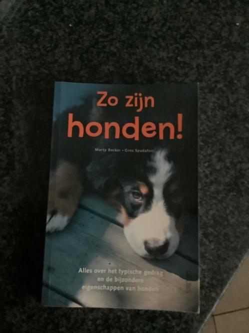 G. Spadafori - Zo zijn honden!, Boeken, Dieren en Huisdieren, Zo goed als nieuw, Honden, Ophalen