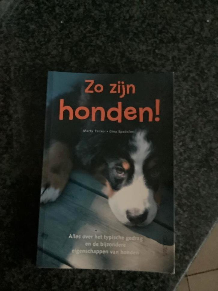 G. Spadafori - Zo zijn honden!, Boeken, Dieren en Huisdieren, Zo goed als nieuw, Honden, Ophalen