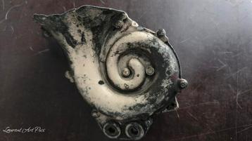 Vieux klaxon de locomotive  beschikbaar voor biedingen