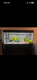 Compleet aquarium, Dieren en Toebehoren, Vissen | Aquaria en Toebehoren, Ophalen, Zo goed als nieuw