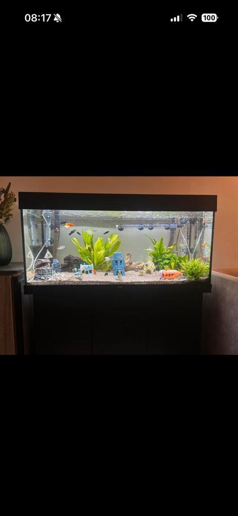 Compleet aquarium, Dieren en Toebehoren, Vissen | Aquaria en Toebehoren, Zo goed als nieuw, Ophalen