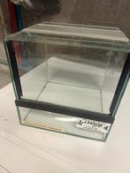 A vdre Terrarium, Enlèvement ou Envoi, Comme neuf