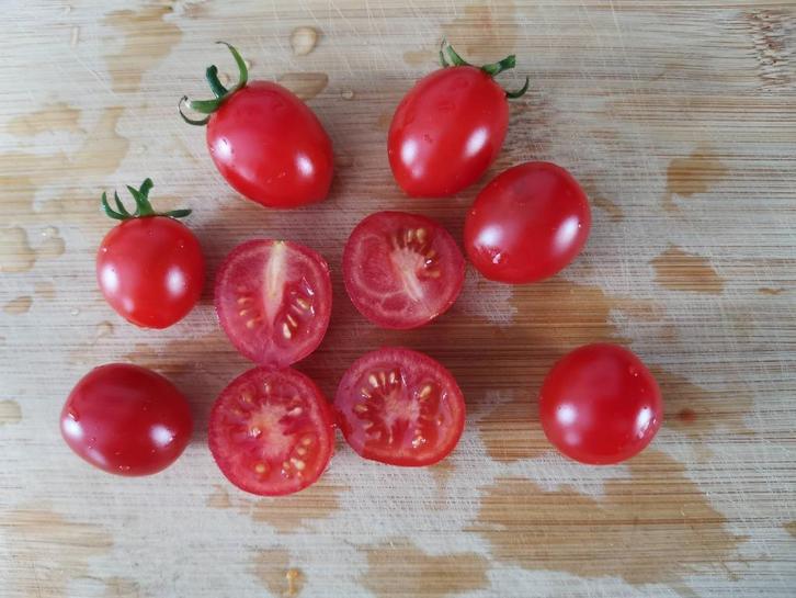 tomaat Trixi - zoete rode kerstomaat - 5 zaden, Tuin en Terras, Bloembollen en Zaden, Zaad, Voorjaar, Verzenden