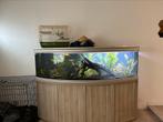 Aquarium aqualantis, Dieren en Toebehoren, Vissen | Aquaria en Toebehoren, Ophalen, Gebruikt, Leeg aquarium