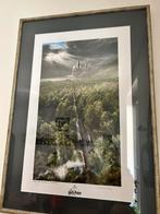 Illustration collector Harry Potter encadrée, Nieuw