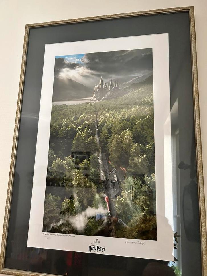 Illustration collector Harry Potter encadrée, Collections, Harry Potter, Neuf