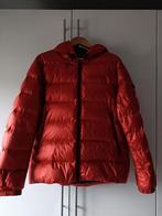 Herfst/wintervest van McGregor maat M, Ophalen of Verzenden, Maat 48/50 (M), Oranje
