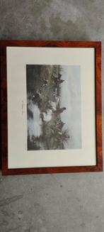 Drie kaders met fotos van jacht, Ophalen of Verzenden