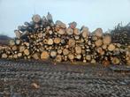 Brandhout, 6 m³ of meer, Verzenden, Eikenhout, Stammen