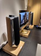 Bang & Olufsen Beolab 50 Alu eiken zijkanten 2100 watt - B&O, Comme neuf, Autres marques, 120 watts ou plus, Enlèvement