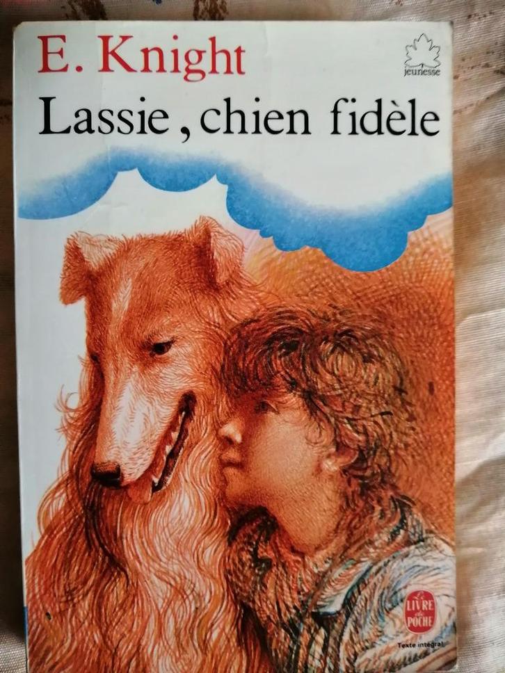 Lassie, chien fidèle d'Eric Knight, Boeken, Kinderboeken | Jeugd | 10 tot 12 jaar, Ophalen of Verzenden