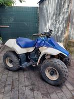 Suzuki Lt80 80cc, Motoren