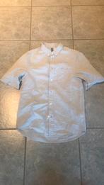 Hemd maat xs, Ophalen of Verzenden, Zo goed als nieuw