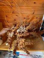 groot stuk koraal decoratie zee aquarium, Enlèvement, Autres types