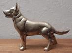 Duitse herdershond., Ophalen