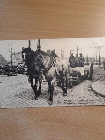 Chevaux de la société portuaire d'Anvers, Enlèvement ou Envoi, Non affranchie