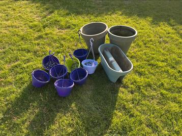 Lot plantenpotten beschikbaar voor biedingen