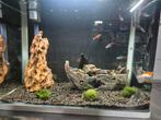 Aquarium compleet, Dieren en Toebehoren, Ophalen, Zo goed als nieuw