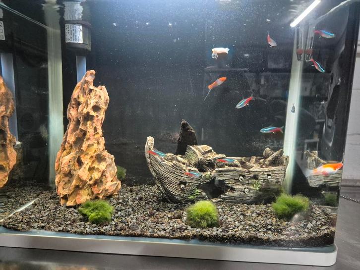 Aquarium compleet, Dieren en Toebehoren, Vissen | Aquaria en Toebehoren, Zo goed als nieuw, Ophalen