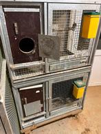 Cages elevage, Dieren en Toebehoren, Ophalen, Gebruikt, Broedkooi of Kweekkooi