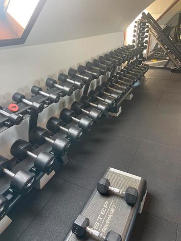 Dumbells - perfecte staat - TE KOOP, Ophalen, Zo goed als nieuw, Benen, Dumbbell