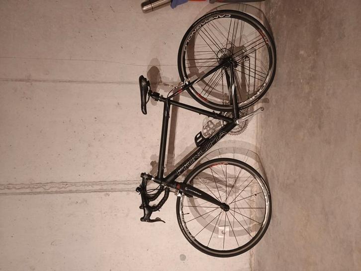 Principia, Fietsen en Brommers, Fietsen | Racefietsen, Gebruikt, 10 tot 15 versnellingen, Aluminium, 53 tot 57 cm, Ophalen
