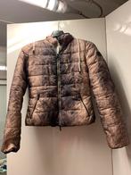 Bruin / witte jas Armani Jeans gewatteerd, Kleding | Dames, Jassen | Winter, Armani Jeans, Bruin, Ophalen of Verzenden, Maat 36 (S)
