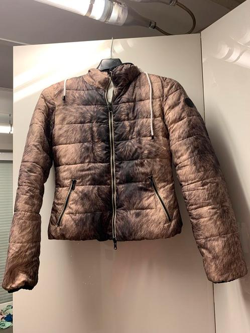 Bruin / witte jas Armani Jeans gewatteerd, Kleding | Dames, Jassen | Winter, Gedragen, Maat 36 (S), Bruin, Ophalen of Verzenden