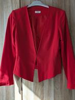 JDY Dames Blazer, Kleding | Dames, Ophalen, Nieuw, Jasje, Maat 36 (S)