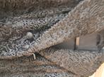 Zwarte astrakan bond jas zwart, Kleding | Dames, Jassen | Winter, Ophalen, Gedragen, Maat 42/44 (L), Zwart