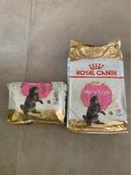 Croquette Royal Canin Maine Coon Kitten, Dieren en Toebehoren, Ophalen, Kat