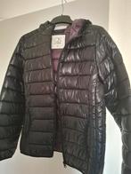 Dames jas, Kleding | Dames, Jassen | Winter, Ophalen of Verzenden, Zo goed als nieuw, Maat 42/44 (L)