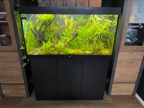 Juwel Rio 350 aquarium - compleet met inhoud!, Dieren en Toebehoren, Vissen | Aquaria en Toebehoren, Zo goed als nieuw, Gevuld zoetwateraquarium