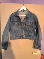 Jeans jasje 46, Kleding | Dames, Jassen | Zomer, Ophalen of Verzenden, Zo goed als nieuw, Maat 46/48 (XL) of groter, Blauw