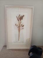 wanddecoratie met gedroogde lavendel, Ophalen of Verzenden, Zo goed als nieuw