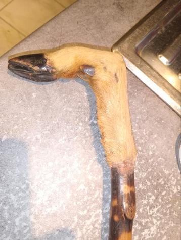 Herteneendeend  beschikbaar voor biedingen